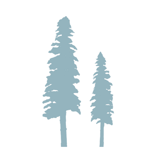Sugar Pine Logo Sugar Pine Logo